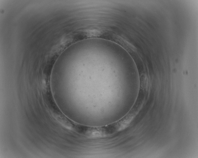 X0000080720655200612151200