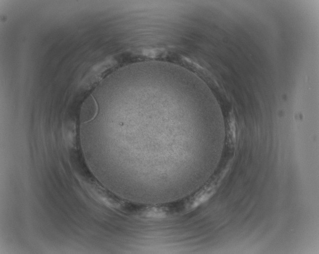 X0000080720656200612151200