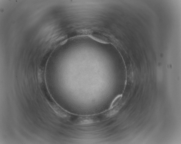 X0000080720658200612151200