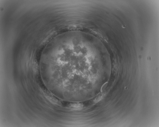 X0000080720659200612151200