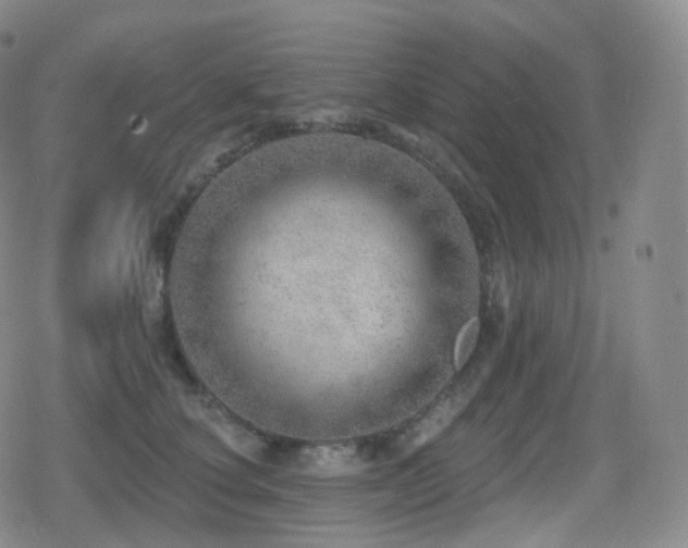 X0000080720660200612151200