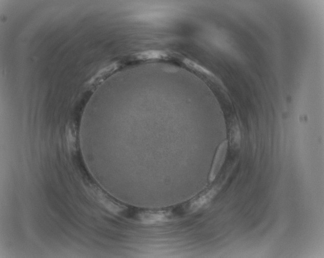 X0000080720661200612151200