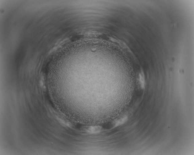 X0000080720663200612151200