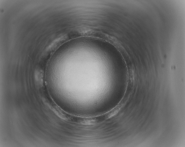 X0000080720664200612151200