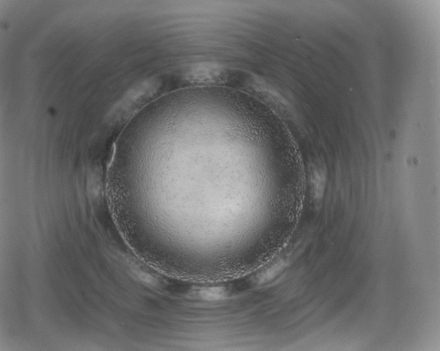 X0000080720665200612151200