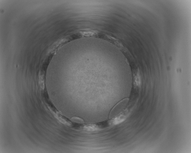 X0000080720666200612151200