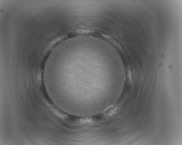 X0000080720668200612151200