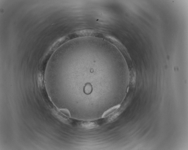 X0000080720669200612151200