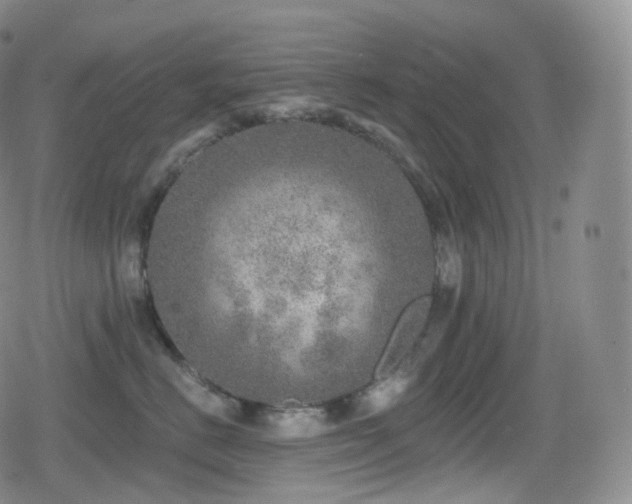 X0000080720670200612151200