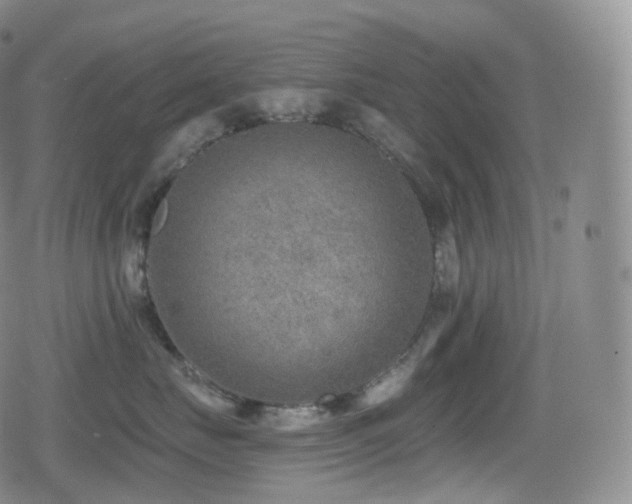 X0000080720671200612151200