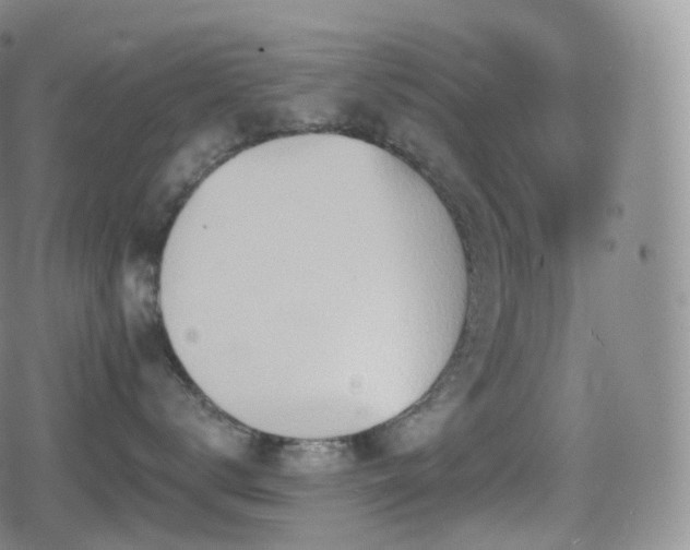 X0000080720672200612151200