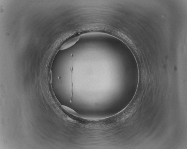 X0000080720673200612151159