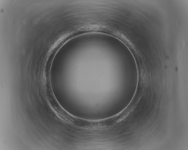 X0000080720674200612151159