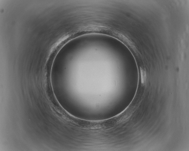 X0000080720675200612151159