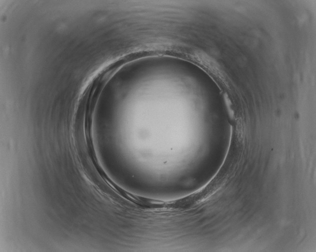 X0000080720676200612151159