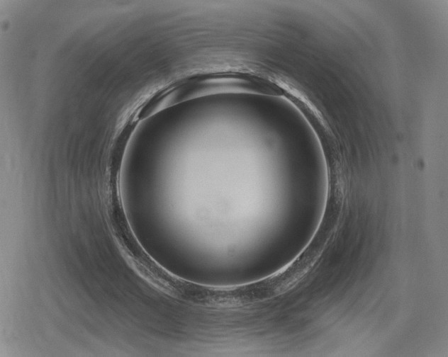 X0000080720677200612151159