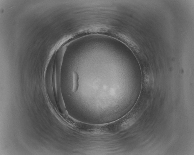 X0000080720678200612151159