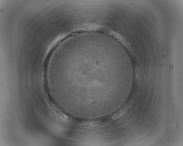 X0000080720679200612151159