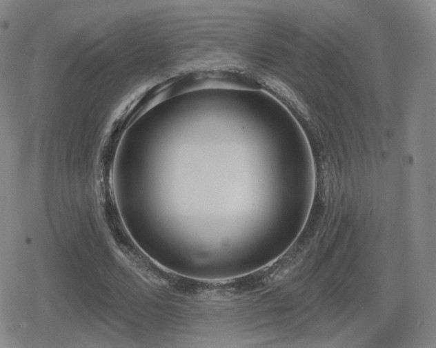 X0000080720680200612151159