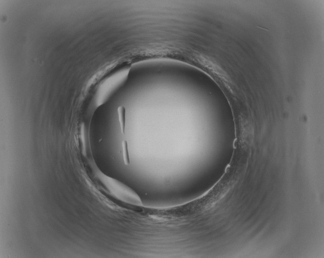 X0000080720681200612151159