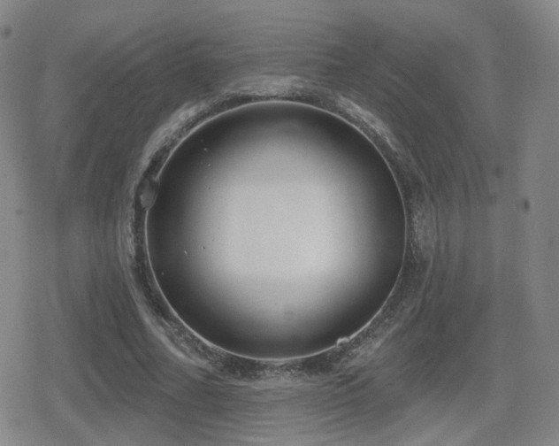 X0000080720682200612151159