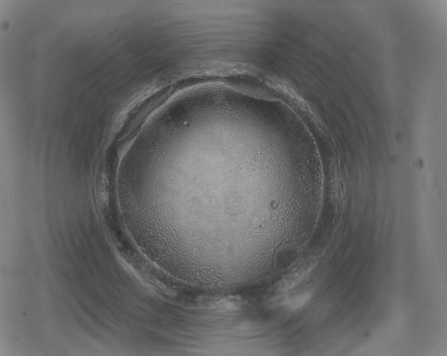 X0000080720683200612151159