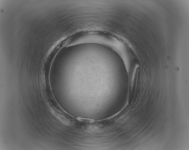 X0000080720684200612151159