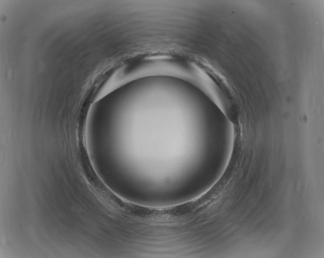 X0000080720685200612151159