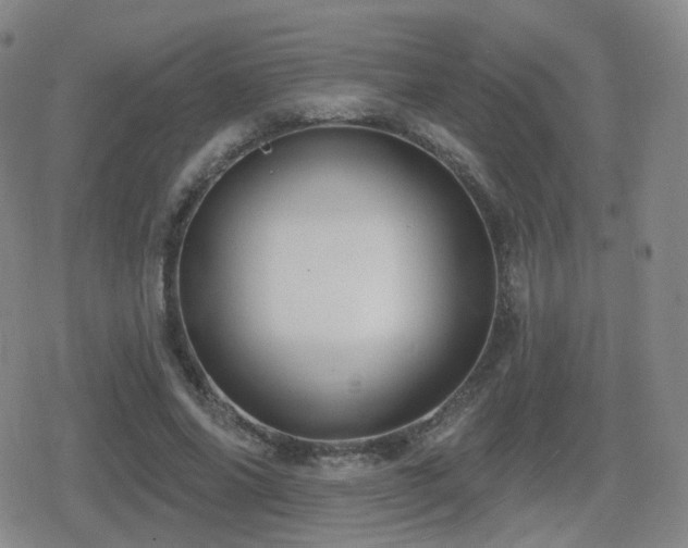 X0000080720686200612151159