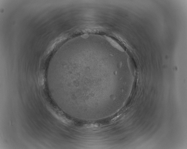 X0000080720687200612151159