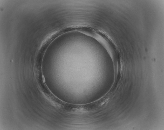 X0000080720688200612151159