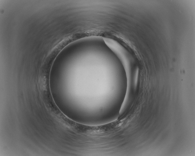 X0000080720689200612151159