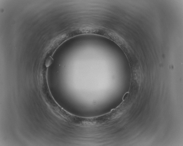 X0000080720690200612151159