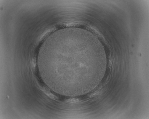 X0000080720691200612151159