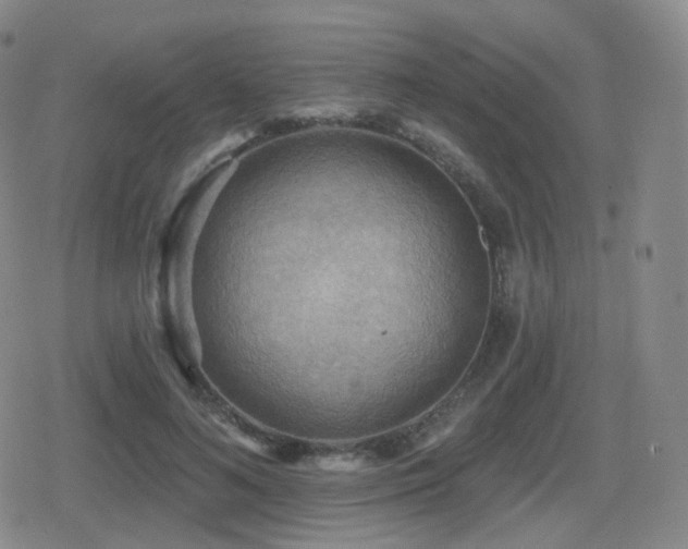 X0000080720692200612151159