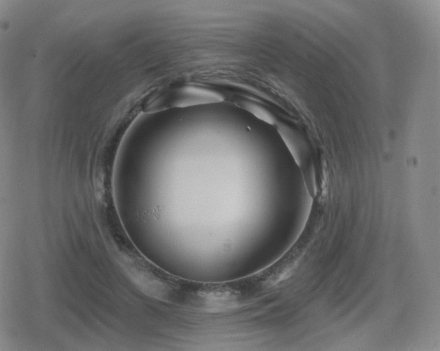 X0000080720693200612151159