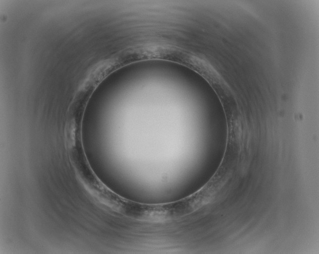 X0000080720694200612151159