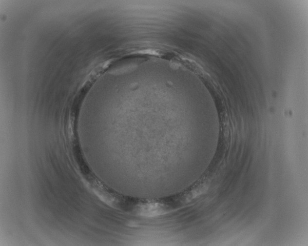 X0000080720695200612151159