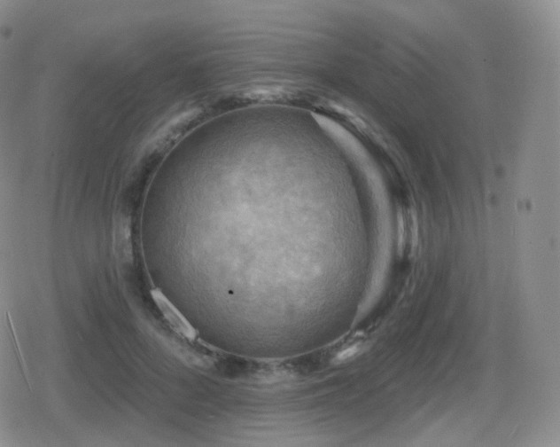 X0000080720696200612151159