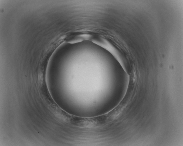 X0000080720697200612151159