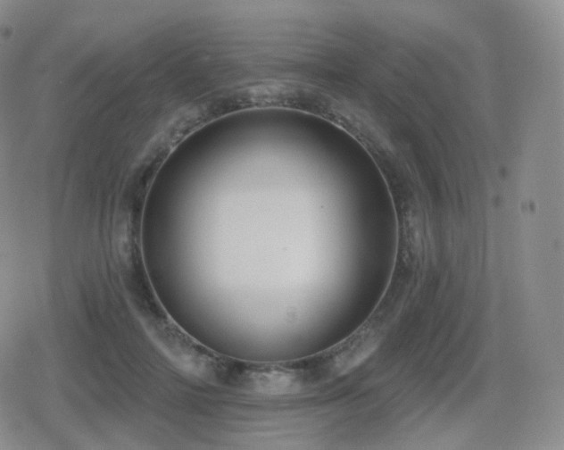 X0000080720698200612151159