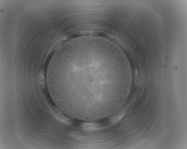 X0000080720699200612151159