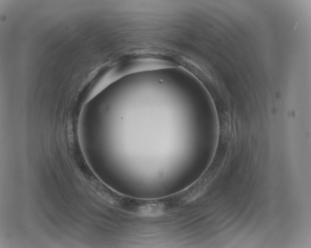 X0000080720700200612151159