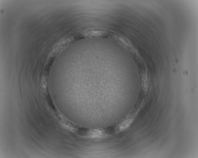 X0000080720701200612151159