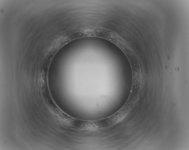 X0000080720702200612151159