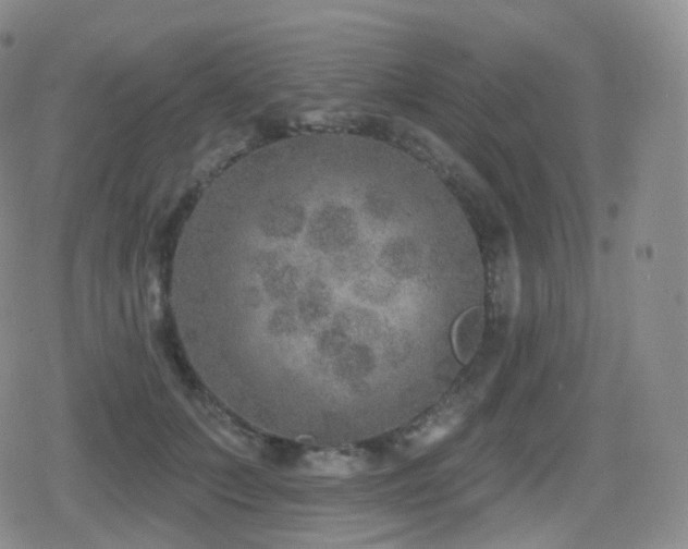 X0000080720703200612151159