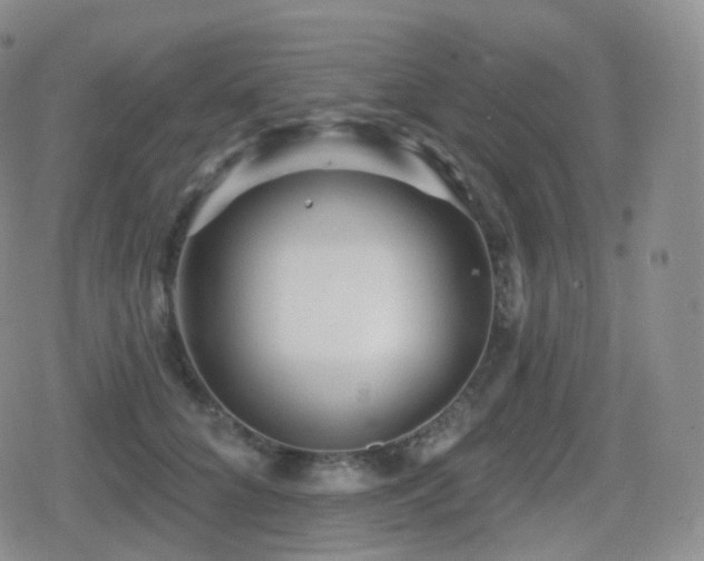 X0000080720704200612151159