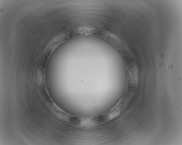 X0000080720705200612151159