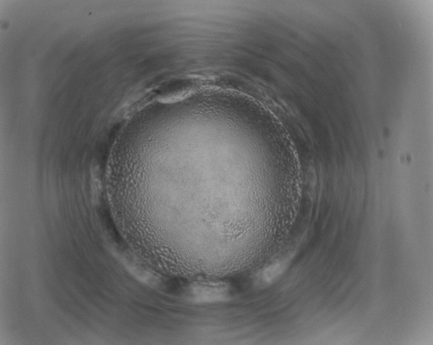 X0000080720707200612151159