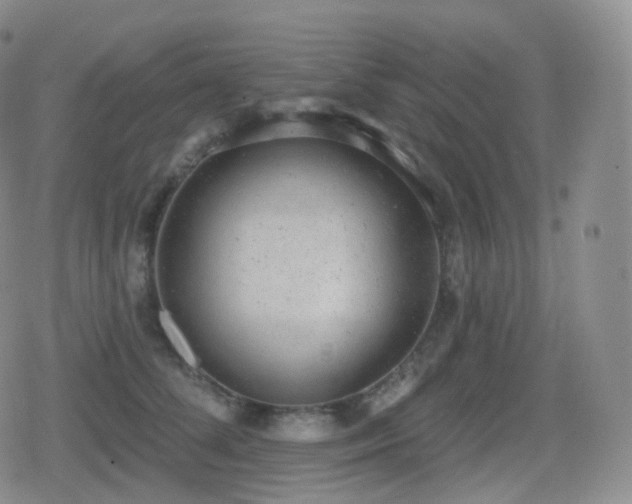 X0000080720708200612151159